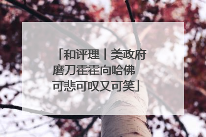 和评理丨美政府磨刀霍霍向哈佛 可悲可叹又可笑