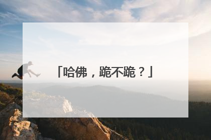 哈佛，跪不跪？