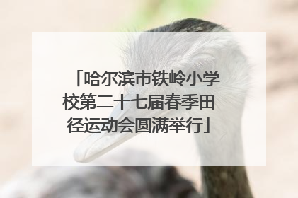 哈尔滨市铁岭小学校第二十七届春季田径运动会圆满举行