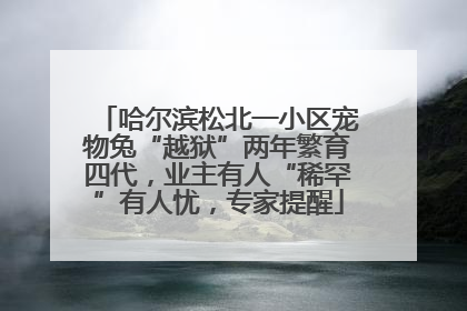 哈尔滨松北一小区宠物兔“越狱”两年繁育四代，业主有人“稀罕”有人忧，专家提醒
