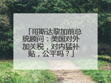 哥斯达黎加前总统顾问：美国对外加关税，对内猛补贴，公平吗？