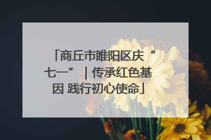 商丘市睢阳区庆“七一”｜传承红色基因 践行初心使命