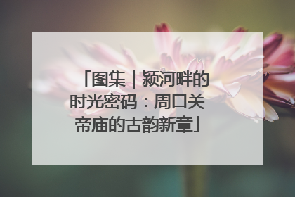 图集｜颍河畔的时光密码：周口关帝庙的古韵新章