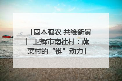 固本强农 共绘新景 ︳卫辉市南社村：蔬菜村的“链”动力