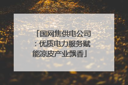 国网焦供电公司：优质电力服务赋能凉皮产业飘香