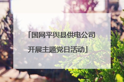 国网平舆县供电公司开展主题党日活动