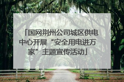 国网荆州公司城区供电中心开展“安全用电进万家”主题宣传活动