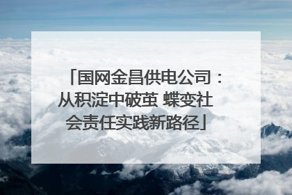 国网金昌供电公司：从积淀中破茧 蝶变社会责任实践新路径