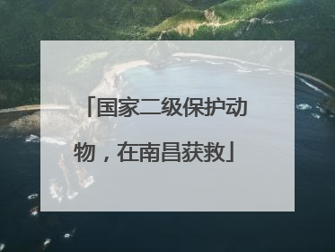 国家二级保护动物，在南昌获救