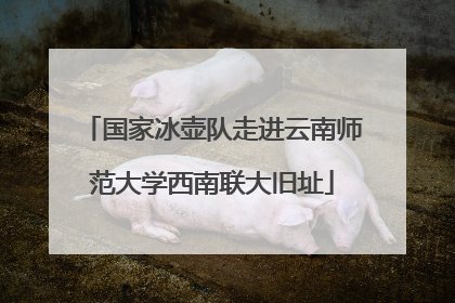 国家冰壶队走进云南师范大学西南联大旧址