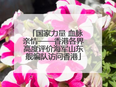 国家力量 血脉亲情——香港各界高度评价海军山东舰编队访问香港