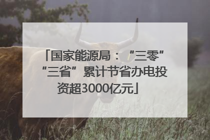 国家能源局：“三零”“三省”累计节省办电投资超3000亿元