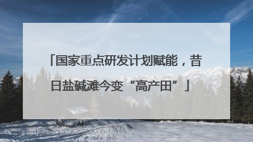 国家重点研发计划赋能，昔日盐碱滩今变“高产田”