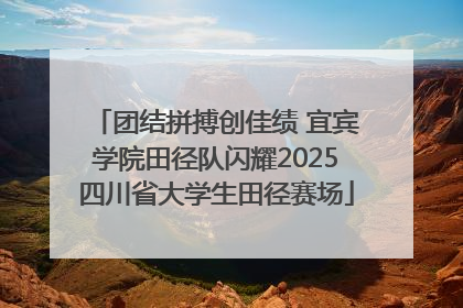 团结拼搏创佳绩 宜宾学院田径队闪耀2025四川省大学生田径赛场