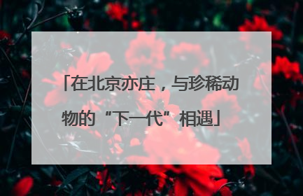 在北京亦庄，与珍稀动物的“下一代”相遇