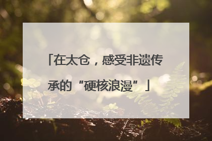 在太仓，感受非遗传承的“硬核浪漫”