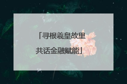 寻根羲皇故里 共话金融赋能