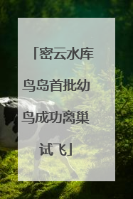 密云水库鸟岛首批幼鸟成功离巢试飞