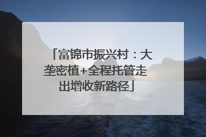 富锦市振兴村：大垄密植+全程托管走出增收新路径