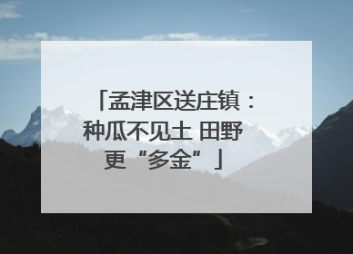 孟津区送庄镇：种瓜不见土 田野更“多金”
