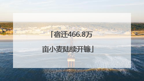 宿迁466.8万亩小麦陆续开镰