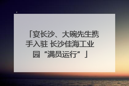 宴长沙、大碗先生携手入驻 长沙佳海工业园“满员运行”