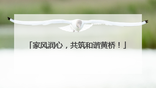 家风润心，共筑和谐黄桥！