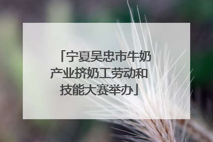 宁夏吴忠市牛奶产业挤奶工劳动和技能大赛举办
