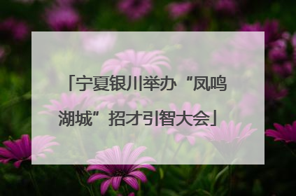 宁夏银川举办“凤鸣湖城”招才引智大会
