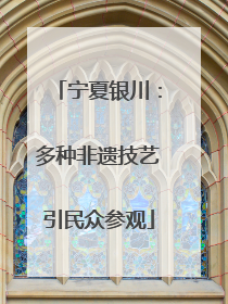 宁夏银川：多种非遗技艺引民众参观