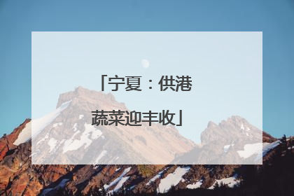 宁夏：供港蔬菜迎丰收