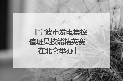 宁波市发电集控值班员技能精英赛在北仑举办