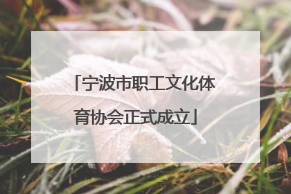 宁波市职工文化体育协会正式成立