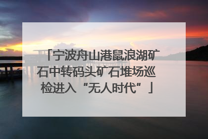 宁波舟山港鼠浪湖矿石中转码头矿石堆场巡检进入“无人时代”
