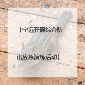 宁远开展综合防汛应急演练活动