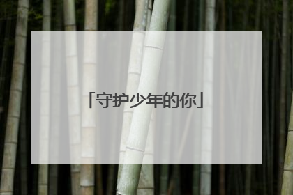 守护少年的你