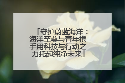 守护蔚蓝海洋：海洋至尊与青年携手用科技与行动之力托起纯净未来
