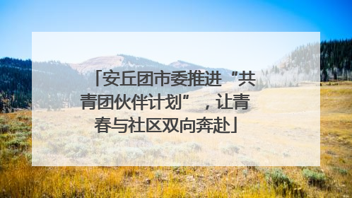 安丘团市委推进“共青团伙伴计划”，让青春与社区双向奔赴