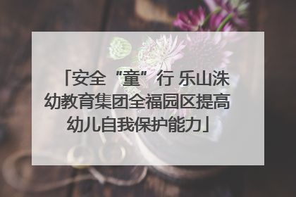 安全“童”行 乐山洙幼教育集团全福园区提高幼儿自我保护能力