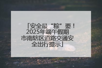 安全最“粽”要！2025年端午假期市南辖区道路交通安全出行提示