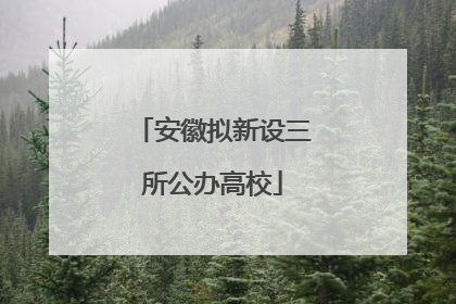 安徽拟新设三所公办高校