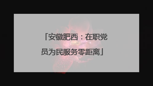 安徽肥西：在职党员为民服务零距离