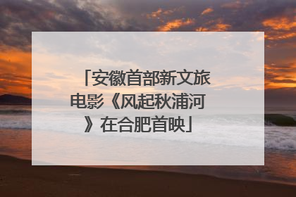 安徽首部新文旅电影《风起秋浦河》在合肥首映