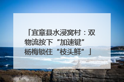 宜章县水浸窝村：双物流按下“加速键” 杨梅锁住“枝头鲜”
