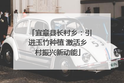 宜章县长村乡：引进玉竹种植 激活乡村振兴新动能
