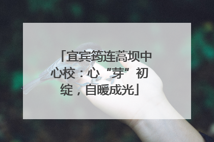 宜宾筠连蒿坝中心校：心“芽”初绽，自暖成光