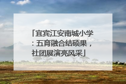 宜宾江安南城小学：五育融合结硕果，社团展演亮风采