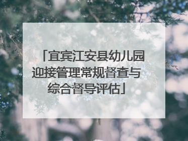 宜宾江安县幼儿园迎接管理常规督查与综合督导评估