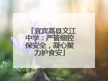 宜宾高县文江中学：严管细控保安全，凝心聚力护食安