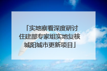实地察看深度研讨 住建部专家组实地复核城阳城市更新项目